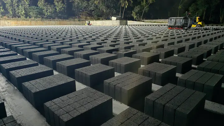 blocks-plant-2
