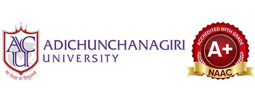 client name - adichunchanagiri university