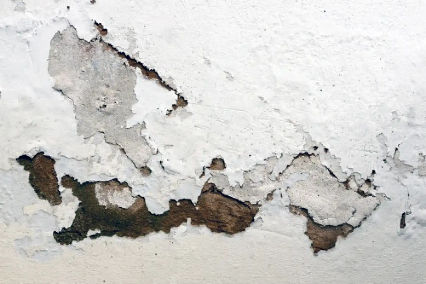 Weakened wall Plaster2